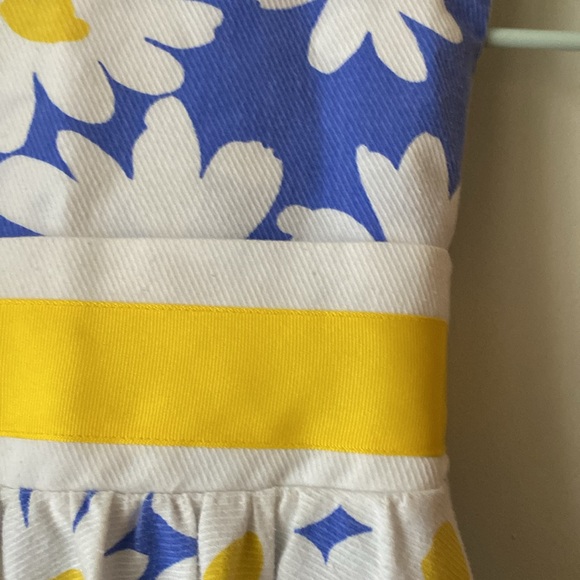 Daisy dress, size 6x - Picture 2 of 9